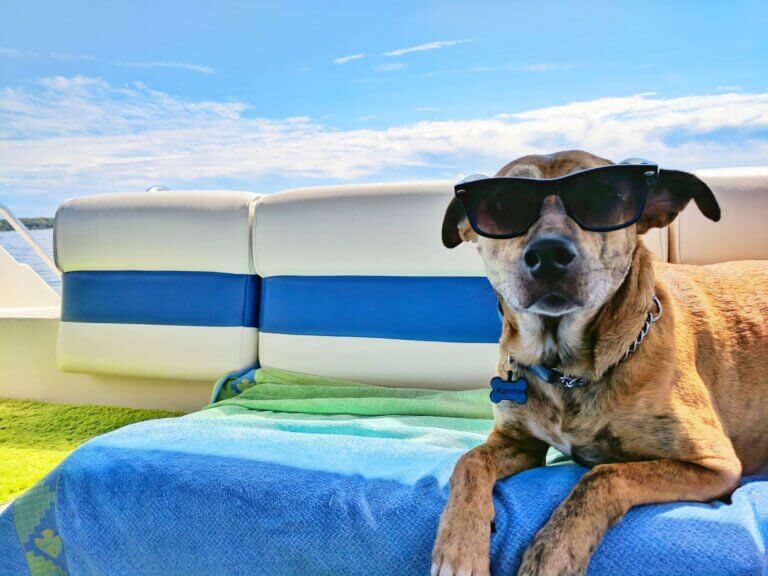 Tips i sommervarmen
