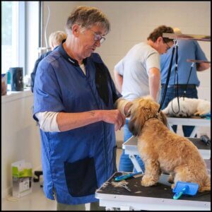 Hundefrisør tøj