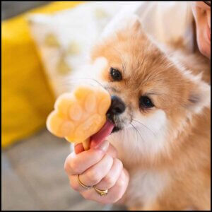 Hundeis