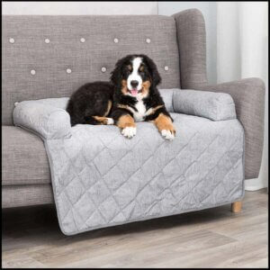 Hundepuder og -tæpper