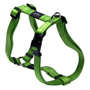 Rogz sele Nitelife Lime Green
