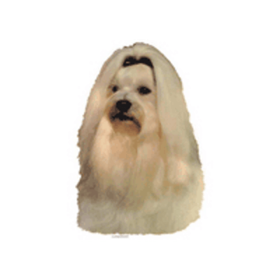 200168_3_default.png