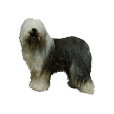 200170_default.png 200170_default.png