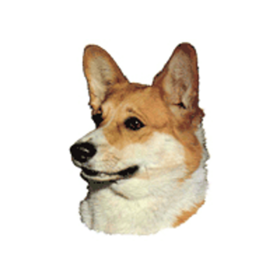 200176_2_default.png