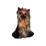 200177_1_default.png