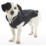 200233_default.jpg 200233_default.jpg