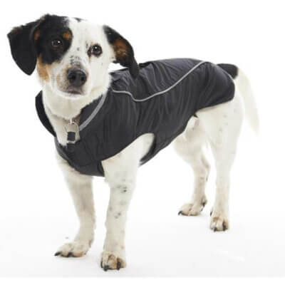 200233_default.jpg 200233_default.jpg