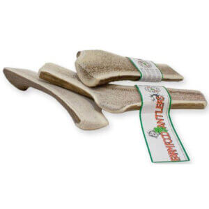 Antlers Hjortegevir Easy