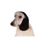 200411_1_default.jpg