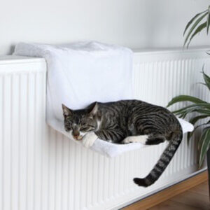 Katte radiatorseng hvid