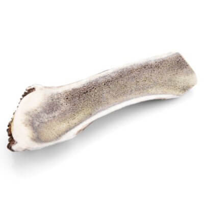Antler-Half-Chew-XS-1_default.jpg