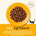 Applaws-Adult-Kat-Kylling1