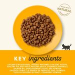 Applaws-Kitten-Kylling1