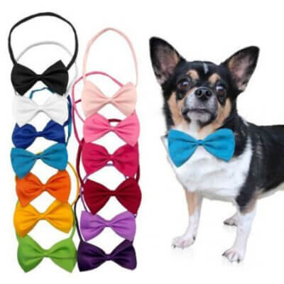 Butterfly-til-hunde-ass_default.jpg