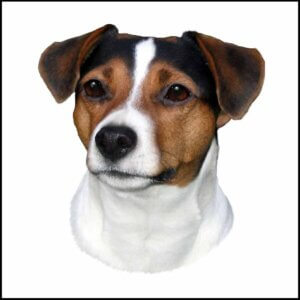 Klistermærker og skilte