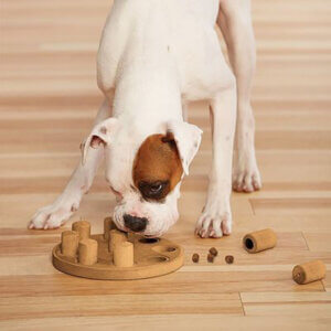 Nina Ottosson Dog Smart Orange - Komposit level 1
