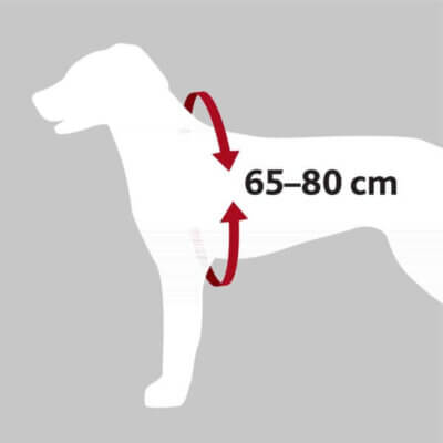 Dogprotect-sikkerhedssele-L