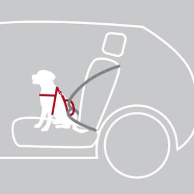 Dogprotect-sikkerhedssele-fastspænding-1 Dogprotect-sikkerhedssele-fastspænding-1