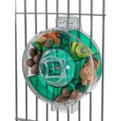 Foraging Wheel LArge