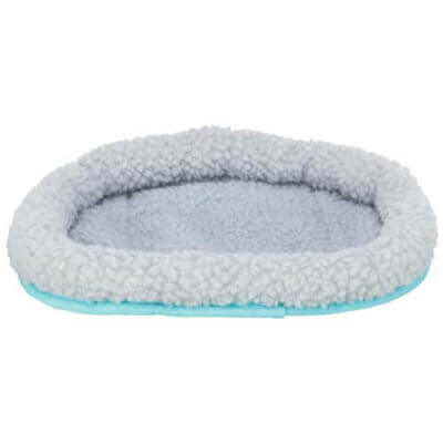 Ganversengblaa Ganversengblaa