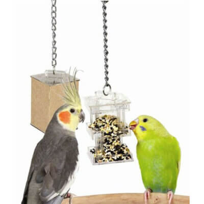 Hide-Away-Foraging-Feeder_default.jpg