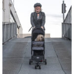 Hundeklapvogn20InnoPet20Buggy20Avenue20Blended20graa201_default.jpg