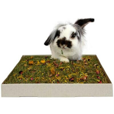 JR-Farm-Back-To-Nature-Urteeng-m.-Blomster1 JR-Farm-Back-To-Nature-Urteeng-m.-Blomster1