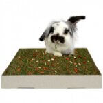 JR-Farm-Back-To-Nature-Urteeng-m.-grøntsager1