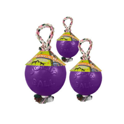 Jolly-Ball-Rump-n-Roll-15cm-Lila_default.jpg