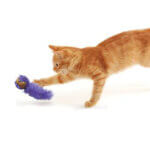 Kong-Cork-ball_default.jpg