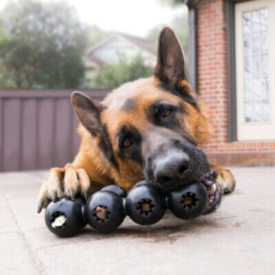Kong-Extreme-Ribbon-1_default.jpg