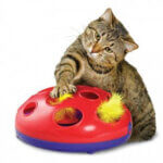 Kong-glide-n-seek-aktivitets-legetoej-sammen-med-kat_default.jpg