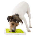 Lick20n20Snack20foderplade20til20hunde2020x202020cm20m.20hund_default.jpg