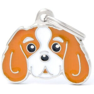 Hundetegn Friends Cavalier King Charles Brun og hvid