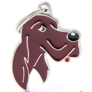 Hundetegn Friends Irsk Setter