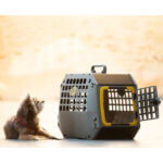 Mimsafe-care2-transportbur-graa2_default.jpg