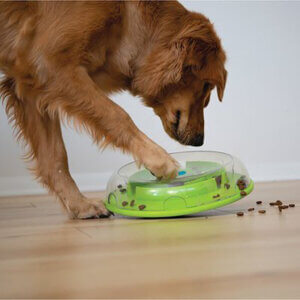 Nina Ottosson Wobble Bowl (lev.1)
