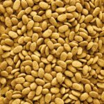 NutriBird-P15-ORginal