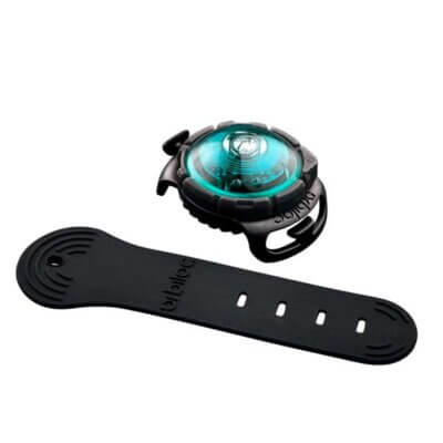 Orbiloc_Dog_Dual_Adjustable-Strap_Turquoise_exposed_HR