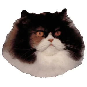 Dekal Kat Perser Trefarvet  Lille 4stk