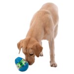 Roly20Poly-20Snack20Aktivitets20aeg20til20hunde201320cm20opstilling_default.jpg