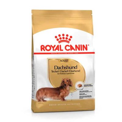 Royal-Canin-Dachshund-(Gravhund)-1