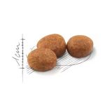 Royal-Canin-Regular-Sterilised