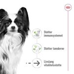 Royal-Canin-X-small-Ageing-12+-1