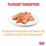 Royal-Canin-vådfoder-Shih-Tzu-12x85g-1