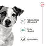 Royal-canin-mini-adult-vådfoder2