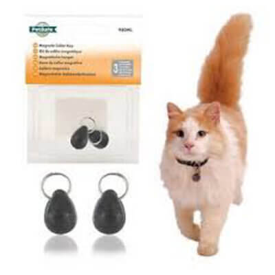 Staywell-petsafe-magnet-til-kattehalsbaand_default.jpg