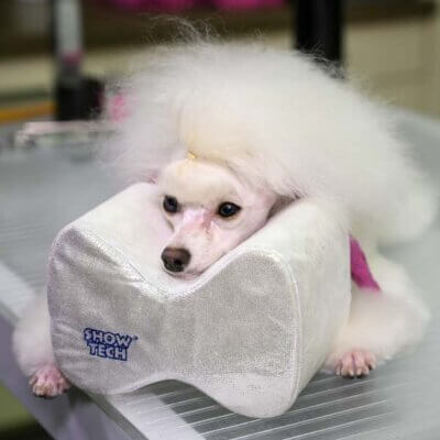 Topopsætningspude-silverM-puddel