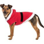Xmas20Julefrakke20til20hund202_default.jpg