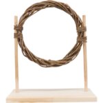 agility-ring-kanin-1_default.jpg